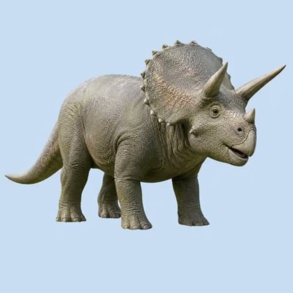 Triceratops